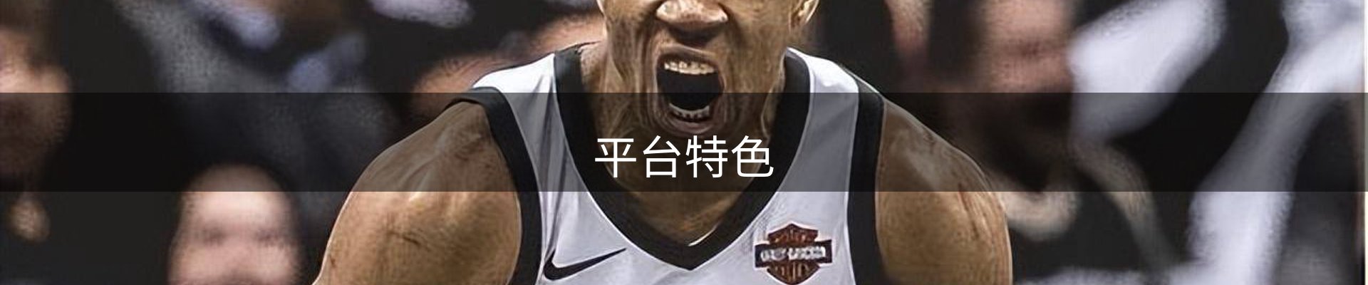 平台特色